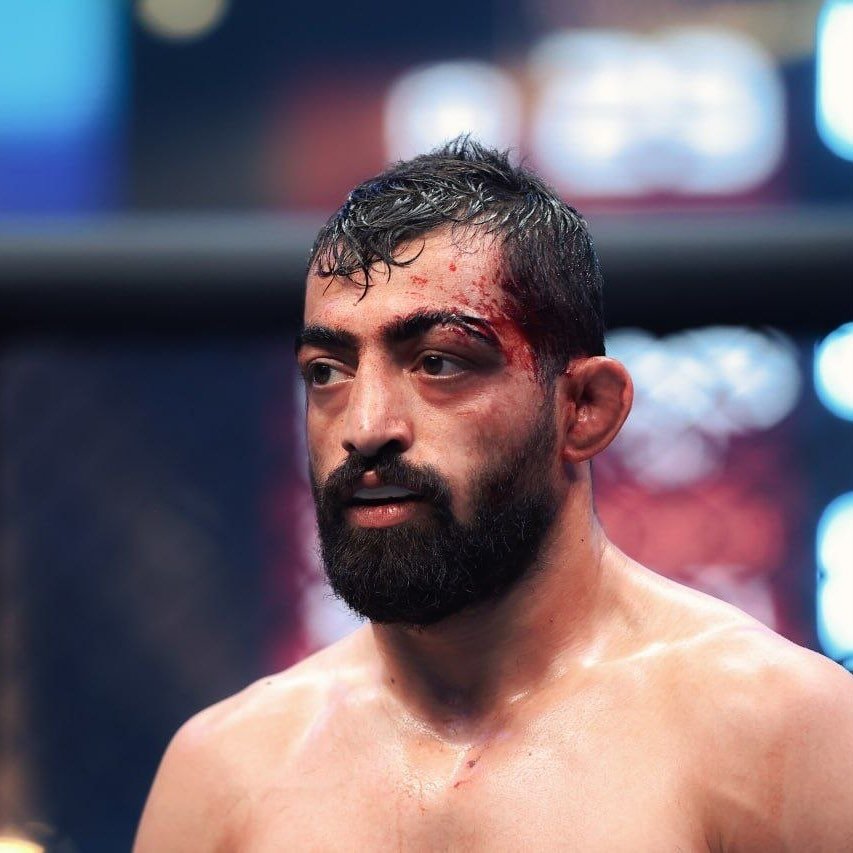 Amir Hossein Habibi