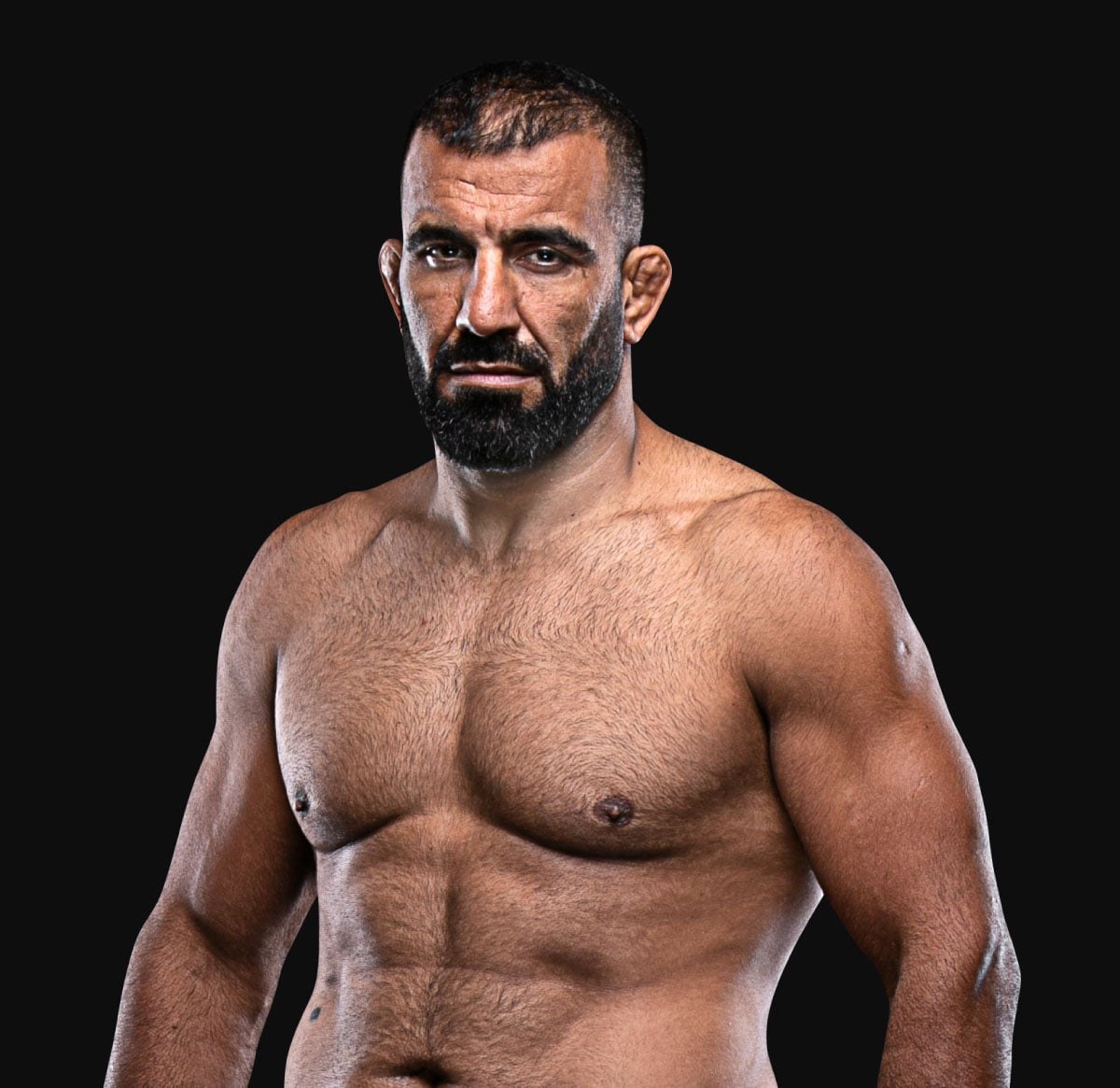 آرش مردانی